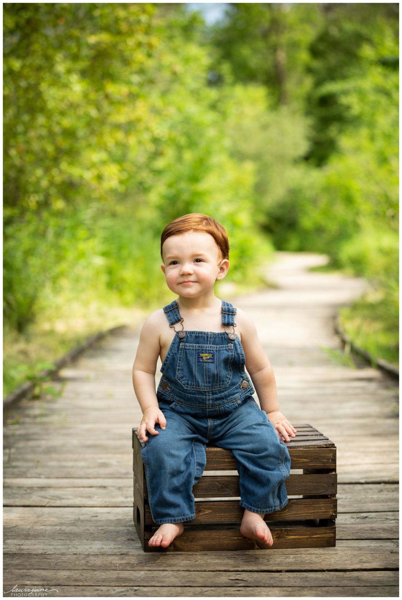 Kettle Moraine Family Portraits