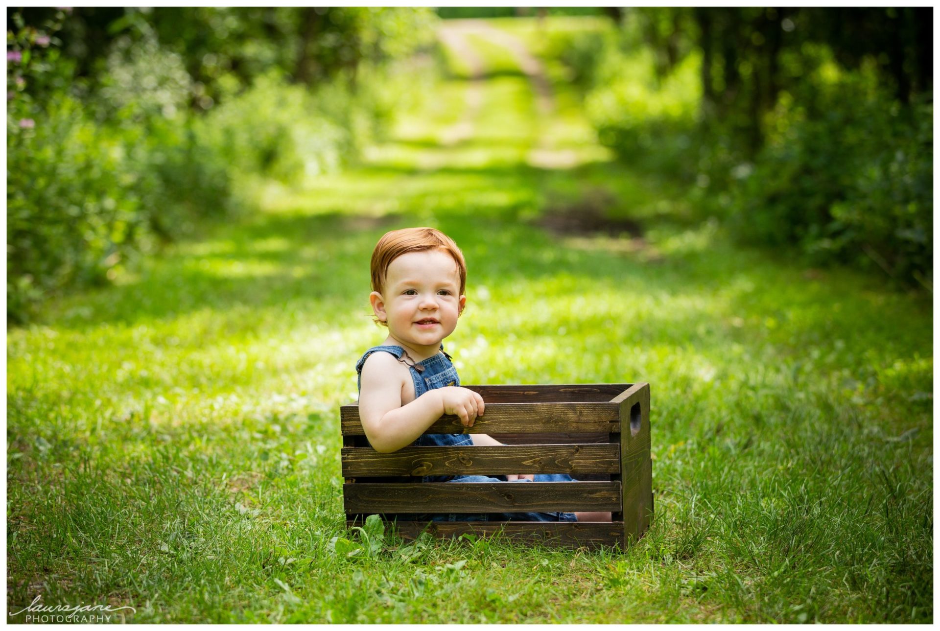 Kettle Moraine State Forest Family Portraits