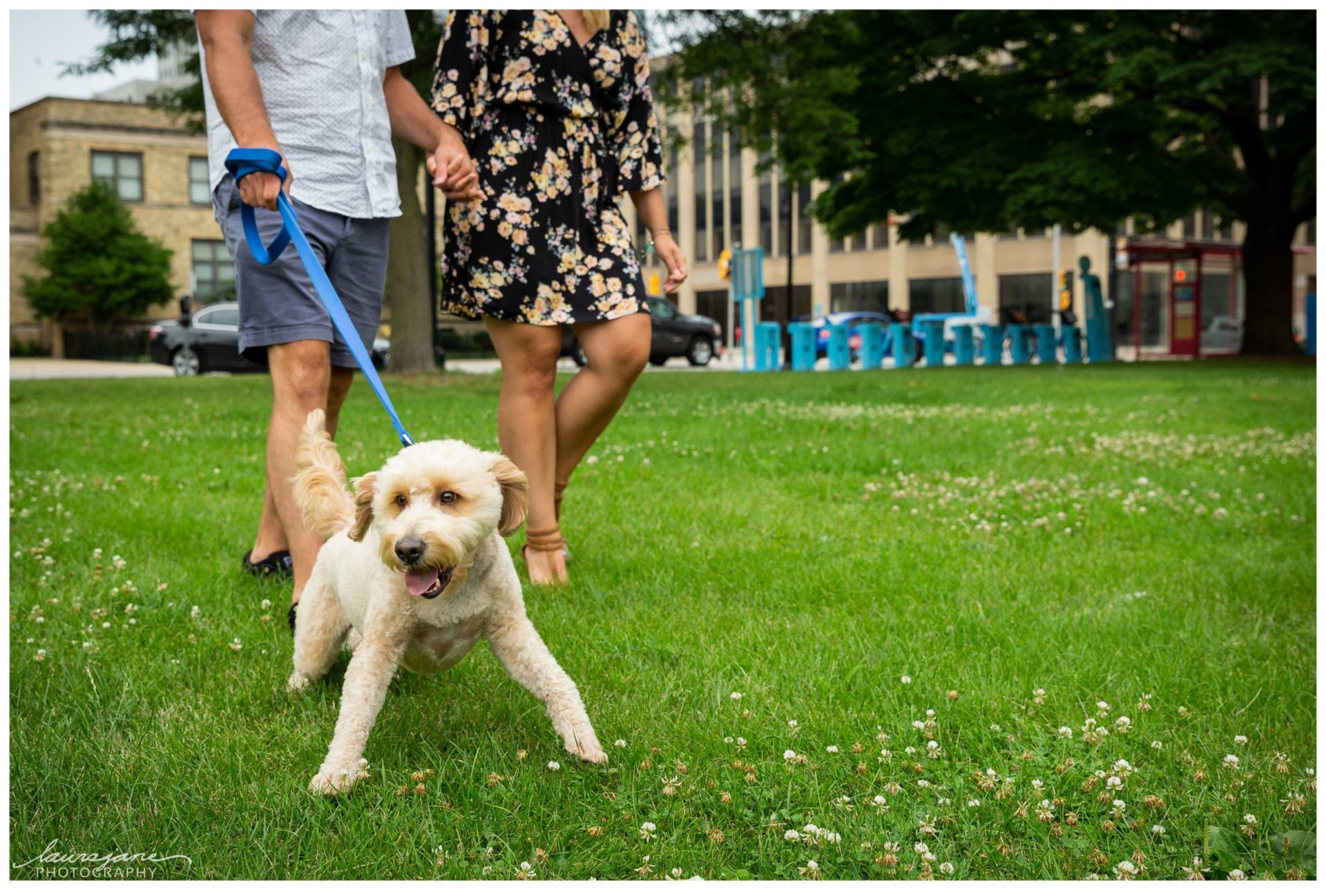 Portraits with pets by Waukesha photographer