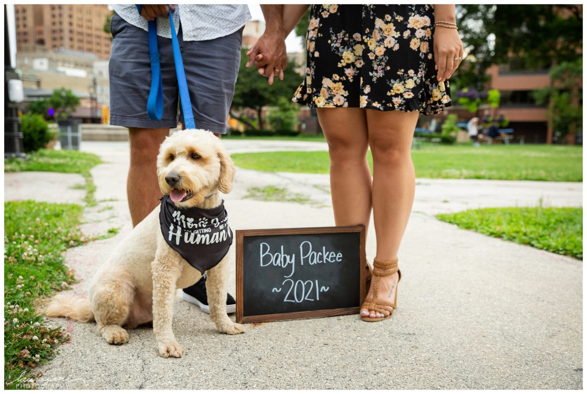 Pregnancy announcement photo ideas with pets